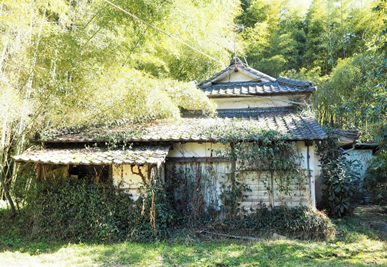 雑草に浸食された空き家の写真